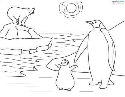 free printable emperor penguin coloring pages