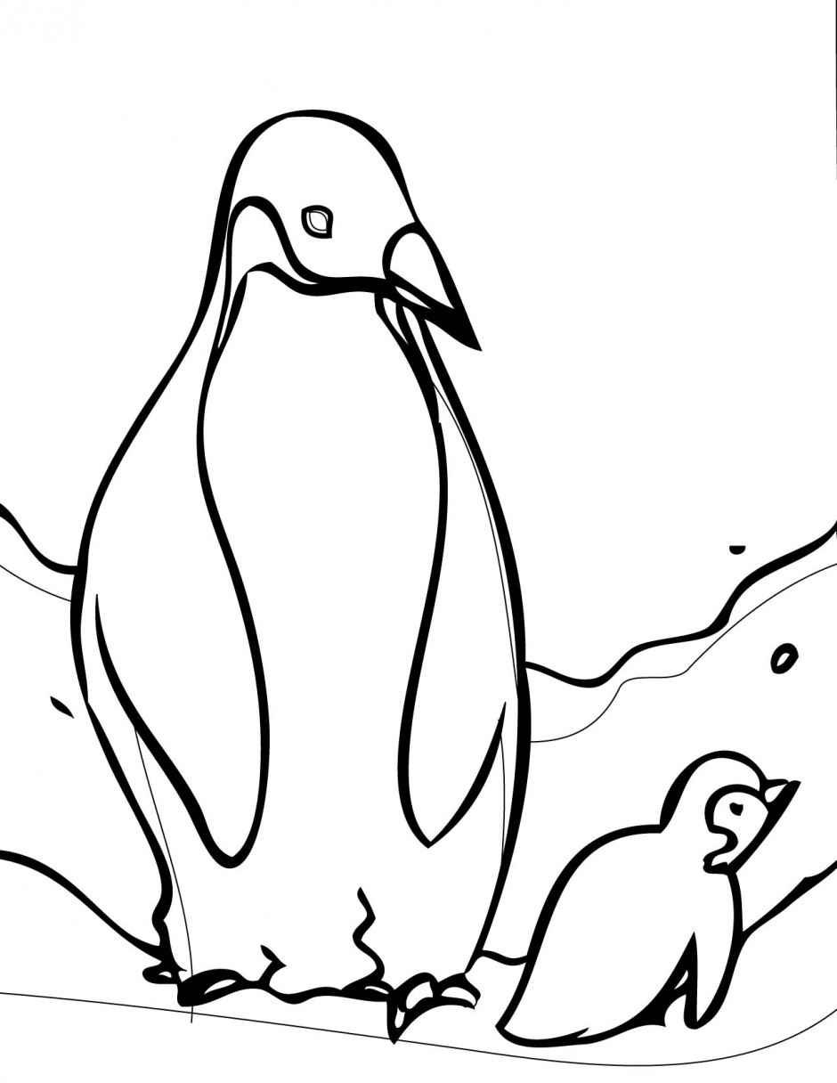 emperor penguin colouring pages