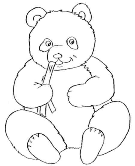 baby panda is eating bamboo coloring page for childrens