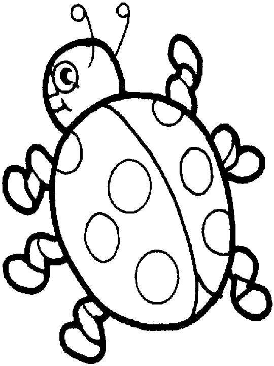 coloring pages of ladybugs