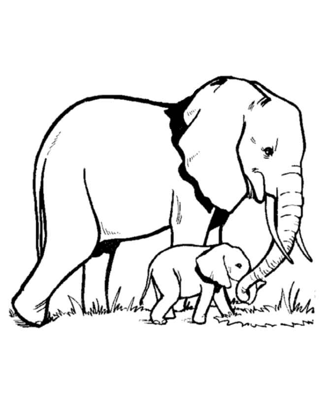 elephant and baby coloring page