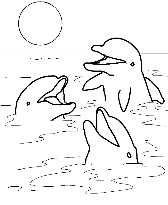 learn-social-by-dolphin-coloring-pages