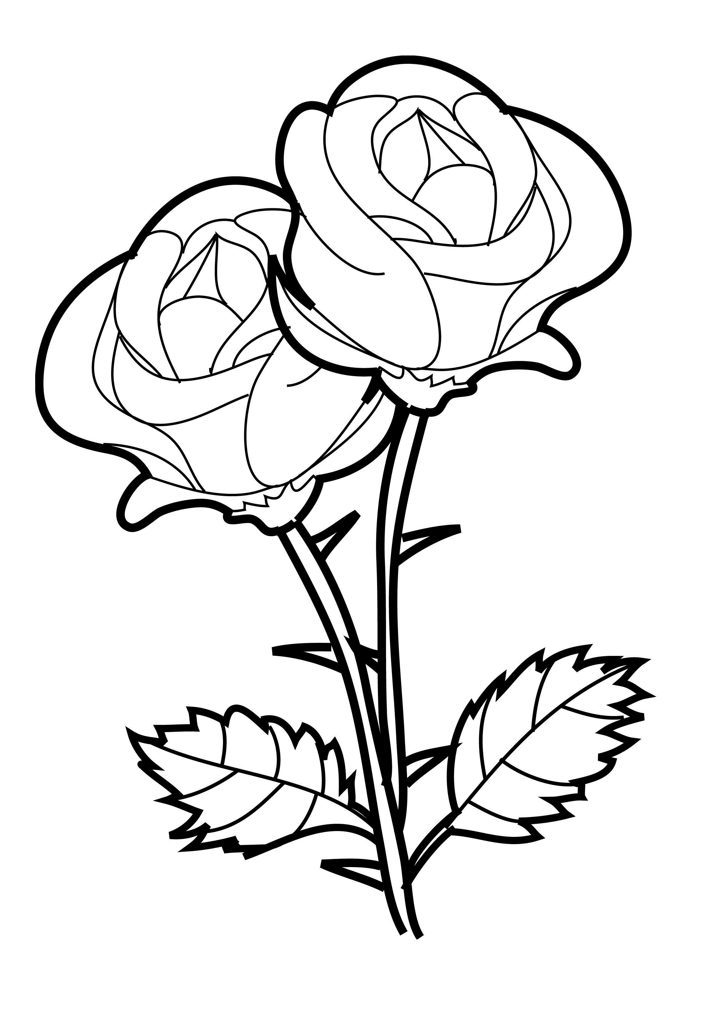 Rose-two-flowers-Coloring-Page