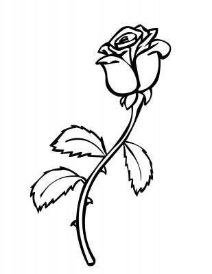 rose_coloring_pages