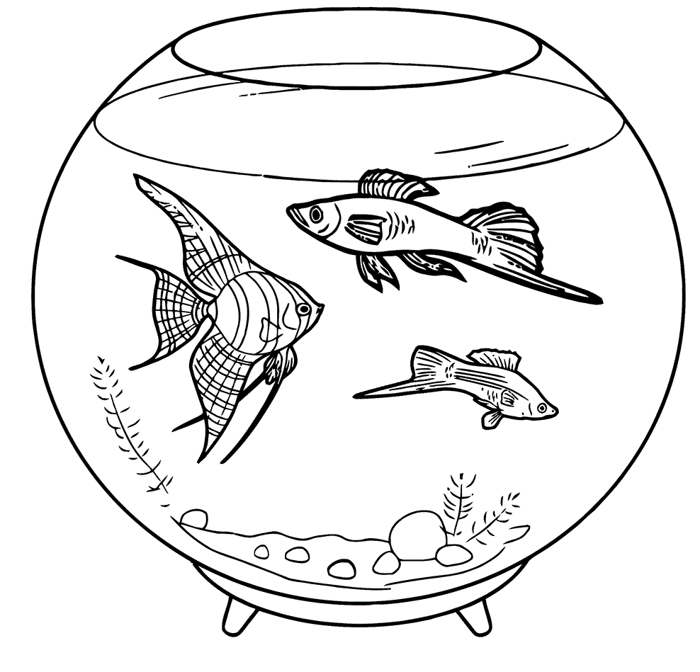 Empty Fish Tank Coloring Pages