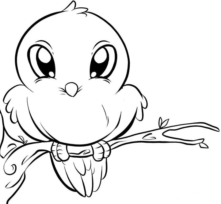 cute-birds-coloring-pages