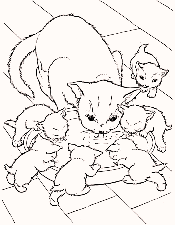 cat-and-babies-coloring-pages