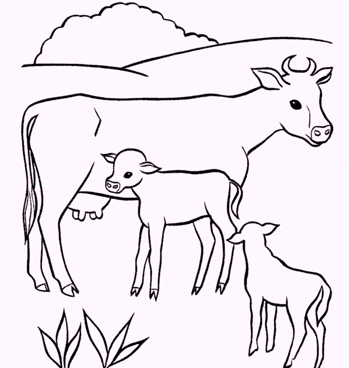 cow-and-babies-coloring