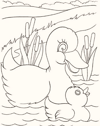 duck-and-duckling-coloring-pages
