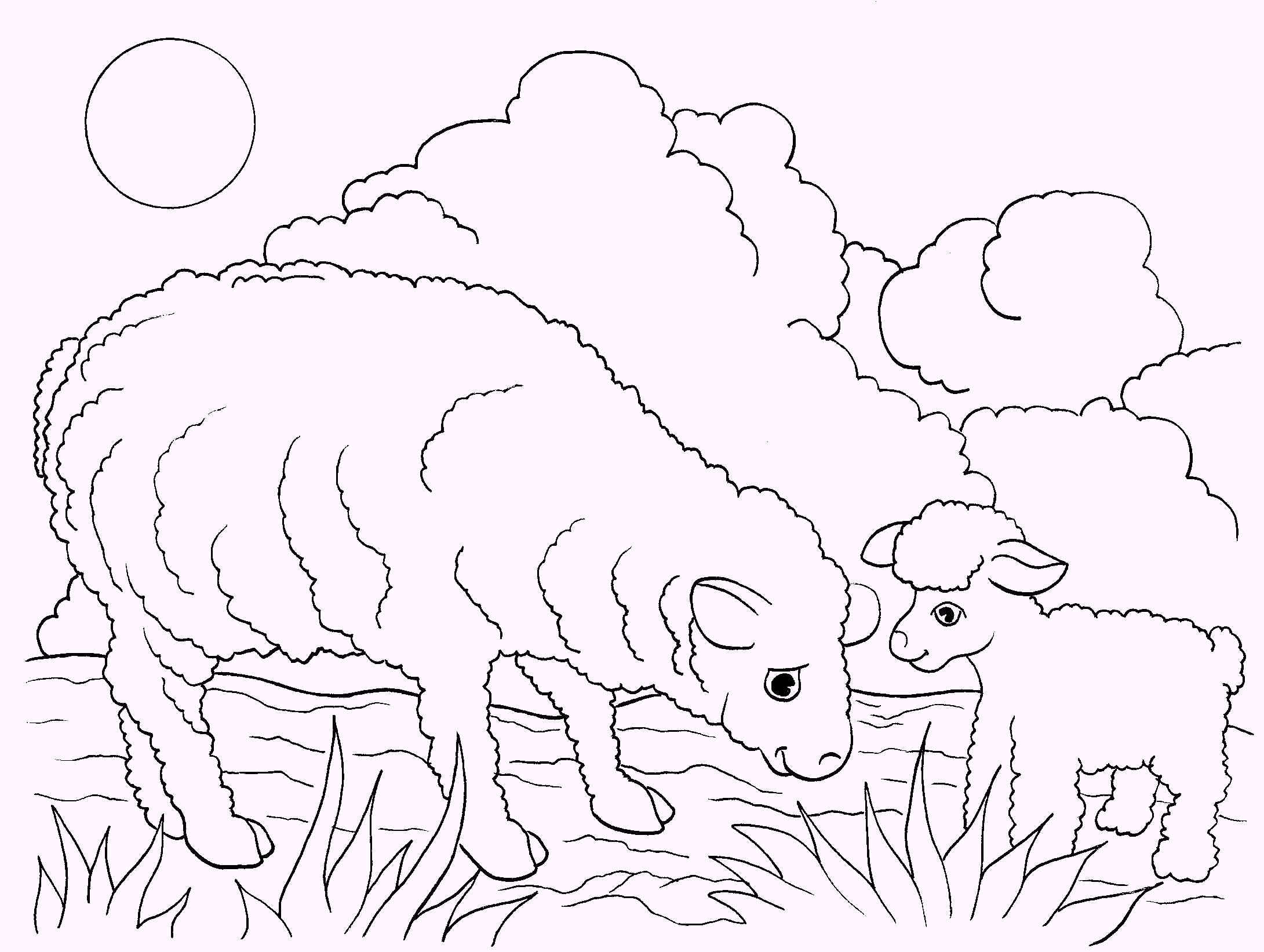sheep-coloring-pages
