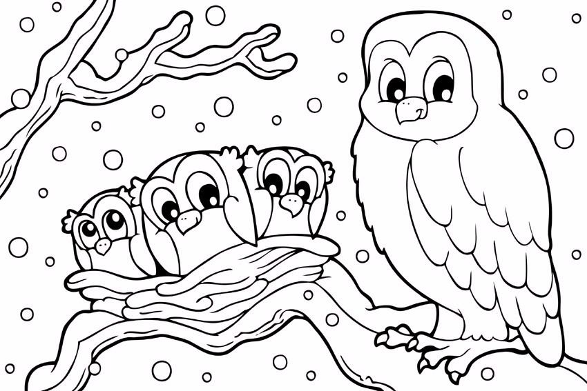 snowy-owl-in-winter-coloring-pages