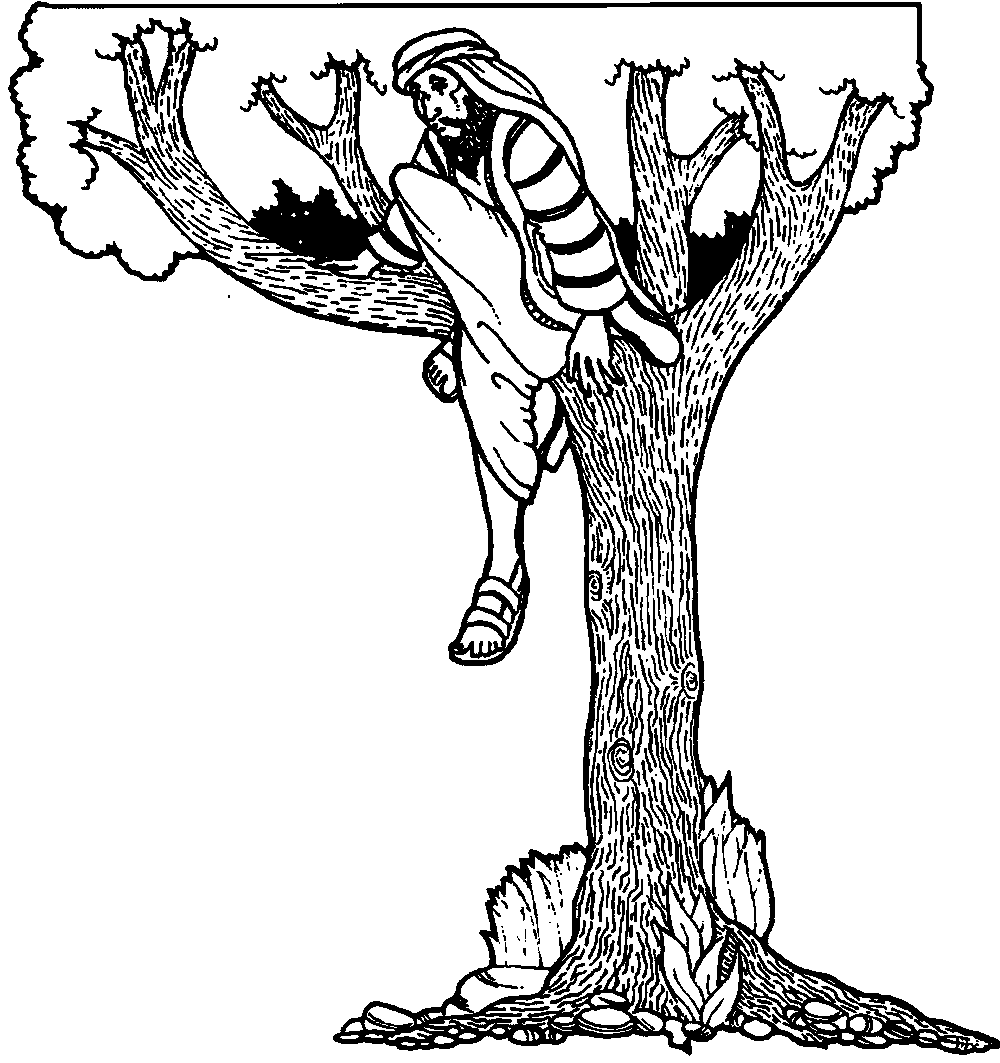 Zacchaeus-Climbs-Tree-to-see-Jesus-Coloring-Page