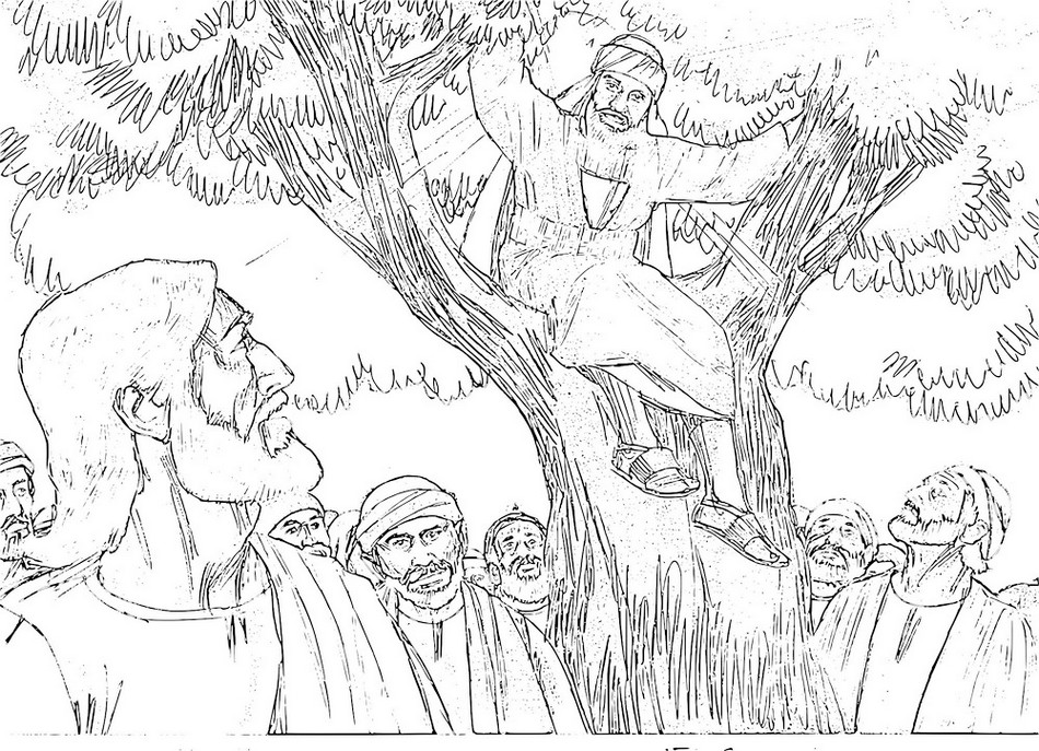 tree-zacchaeus-coloring-picture-real