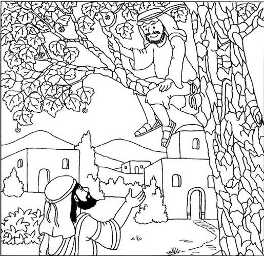 zacchaeus-climbs-tree-to-see-jesus-picture-printable