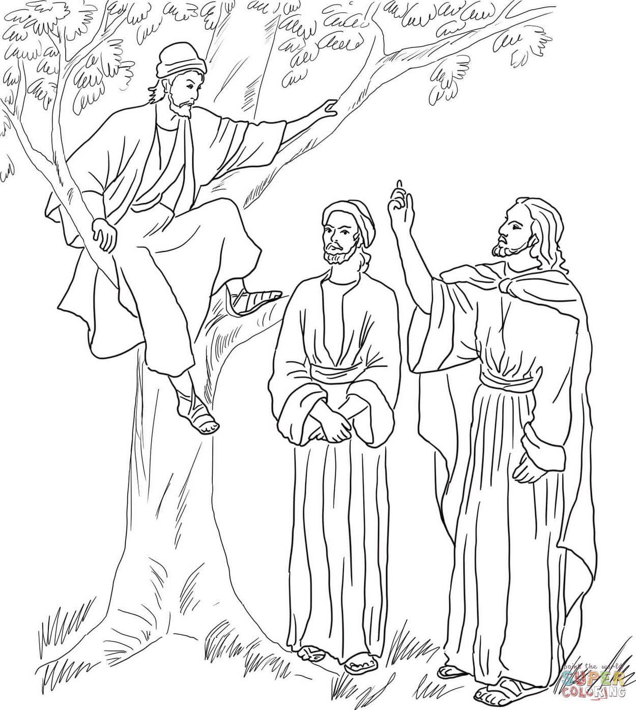 zacchaeus-tree-coloring-page-printable