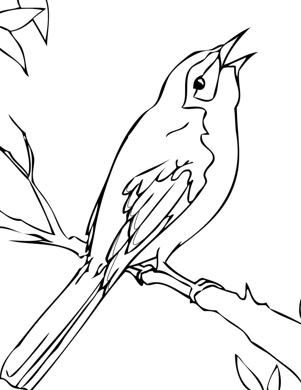 mockingbird-coloring-page-to-print