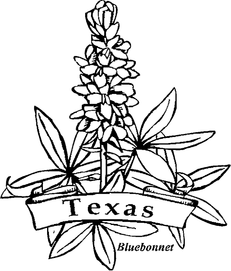 texas-bluebonnet-symbols-coloring-page