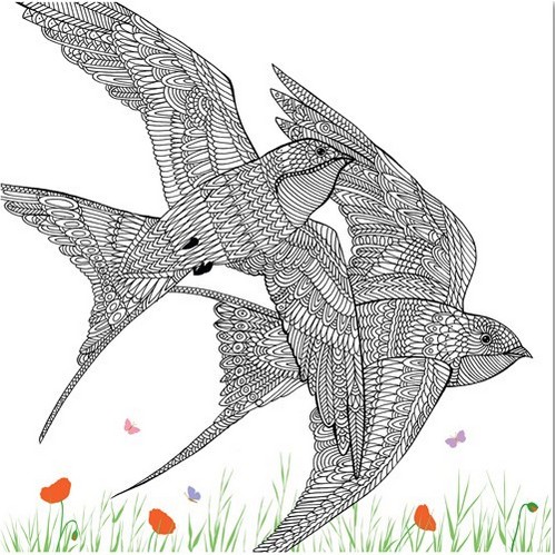 The-Aviary-Bird-Portraits-coloring-book-swallows