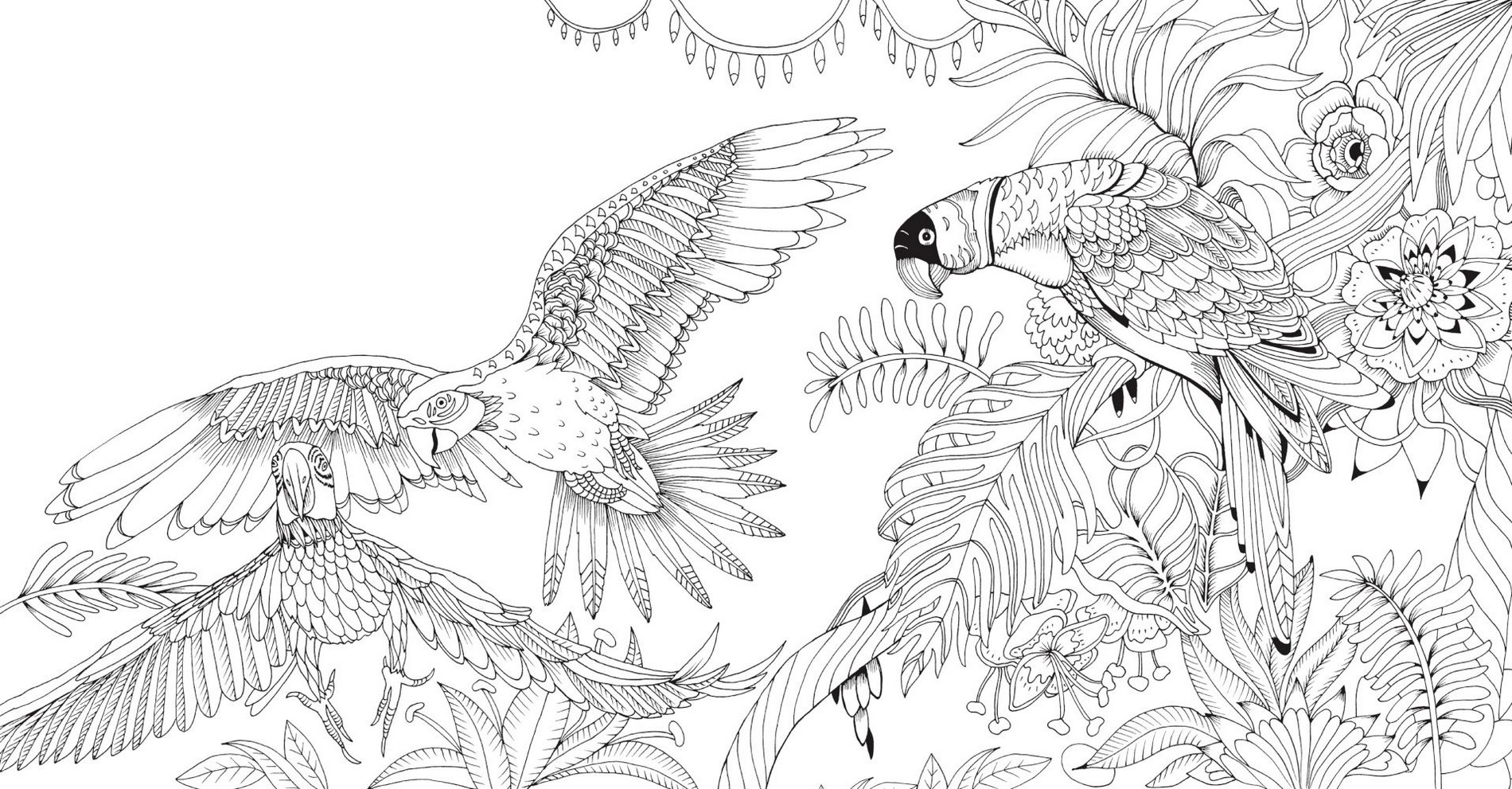 bird-coloring-picture-enchanted-forest