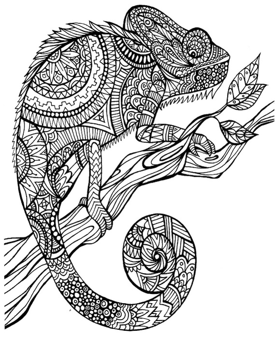Animal Mandala Chameleon Clipart