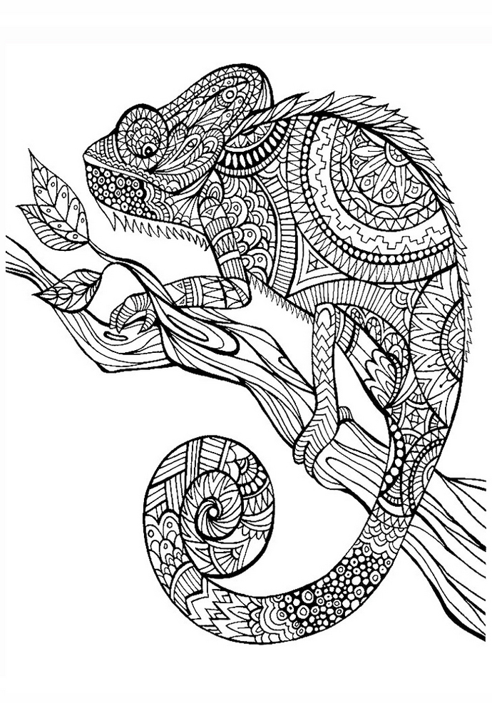 Animal Mandala Chameleon Coloring Pages As Anti Stress