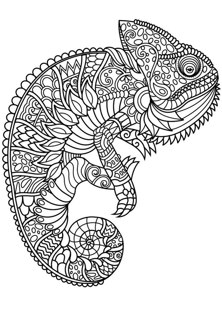 Animal Mandala Chameleon Coloring Pages