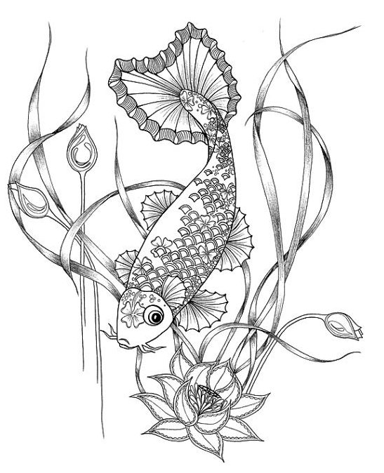 Japanese Koi Fish Coloring Pages