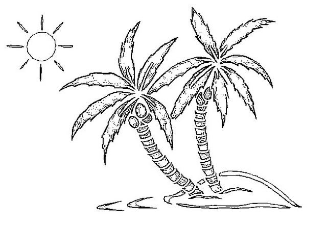palm tree tropical world coloring page
