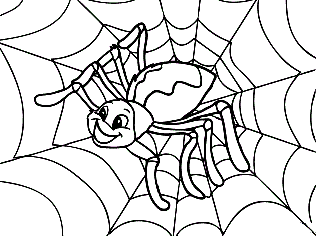 Spider Web Coloring Activity Page