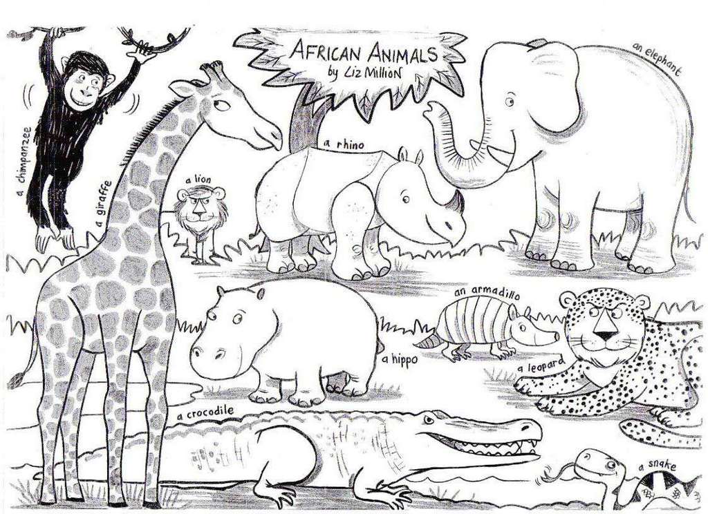 african animal species coloring sheet