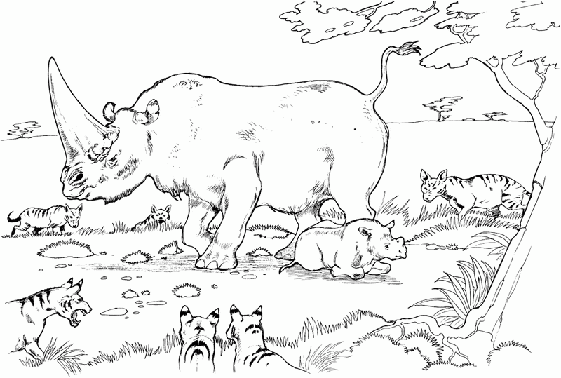 animal species and habitats in the jungle coloring pages