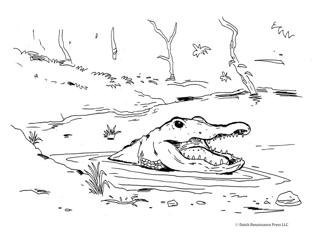crocodile in the water coloring page