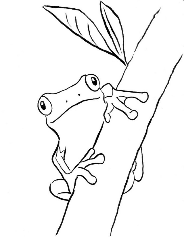 frog on the tree coloring sheet