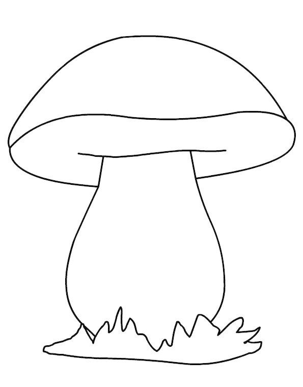 mushroom coloring and drawing sheet