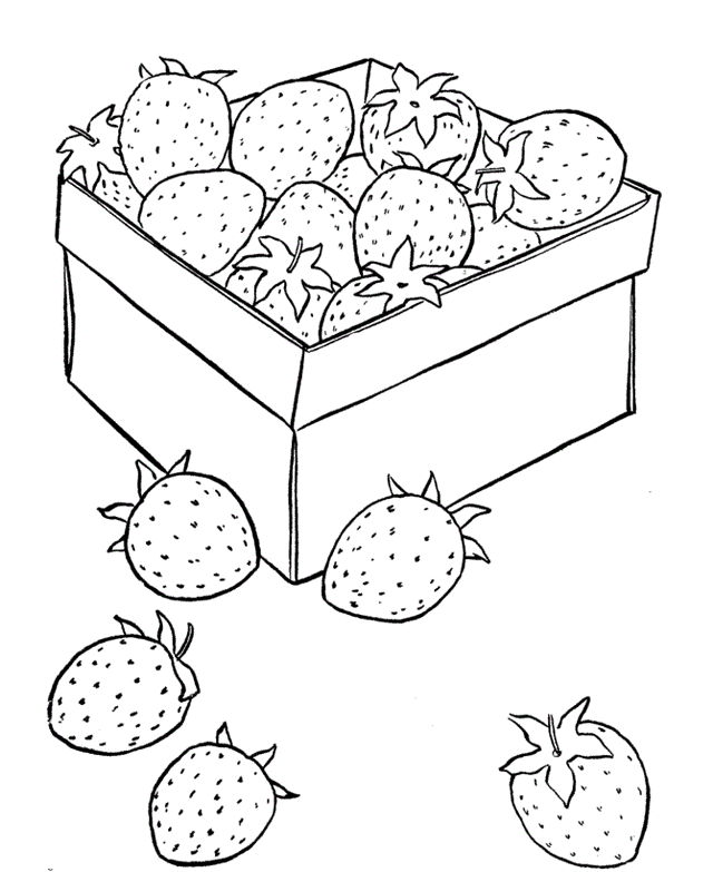 strawberry in the box coloring picture