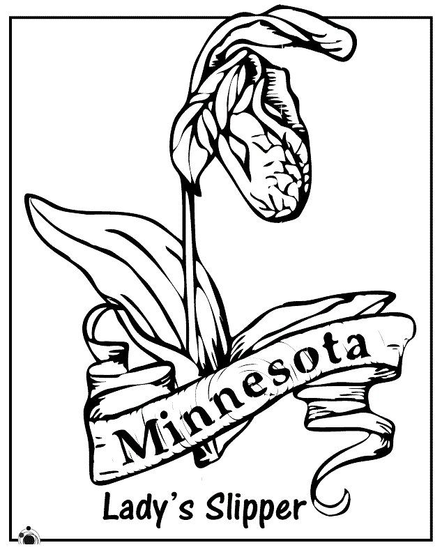 Minnesota State Flower Lady Slipper Coloring Sheet