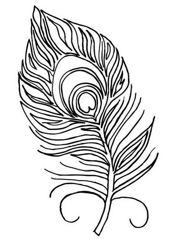 beautiful peacock feather coloring picture