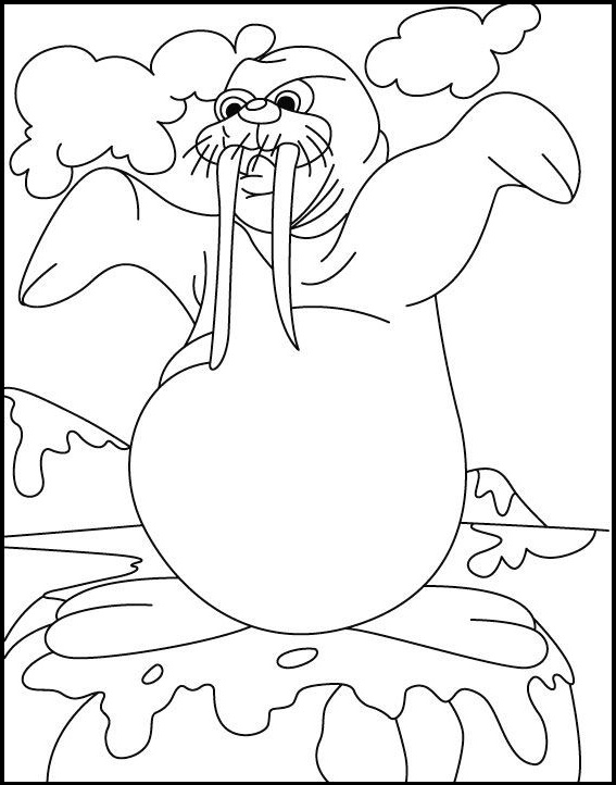 cute walrus coloring picture for children