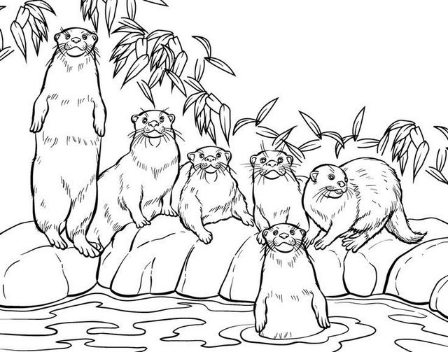 otters habitat coloring pictures