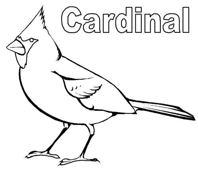 the best cardinal coloring sheet printable