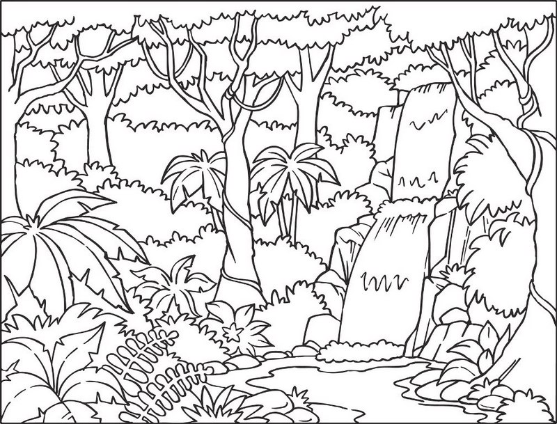 Top waterfall in the jungle coloring sheet
