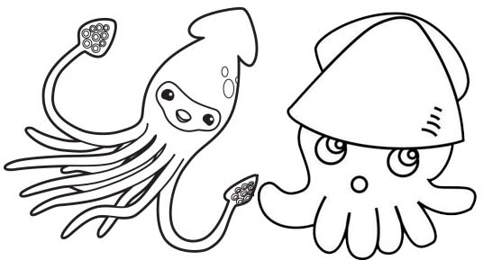 cute squid coloring page