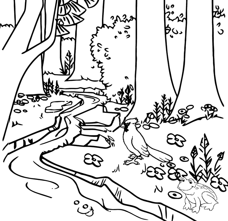 river forest coloring page