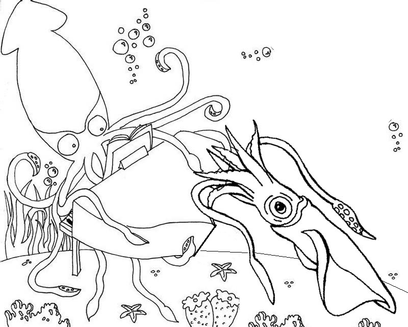 squid underwater coloring page