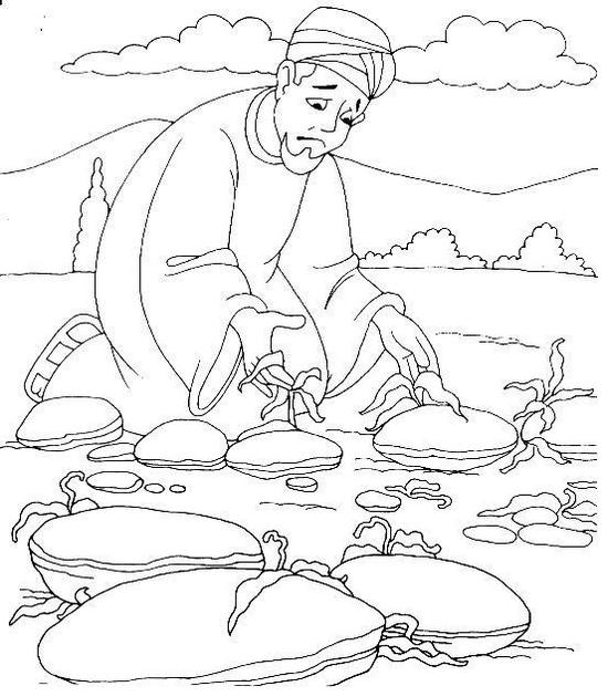 Fantastic Parable of the Sower Coloring Pages