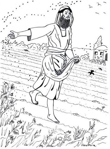 Parable Sower Seed Activity Coloring Page