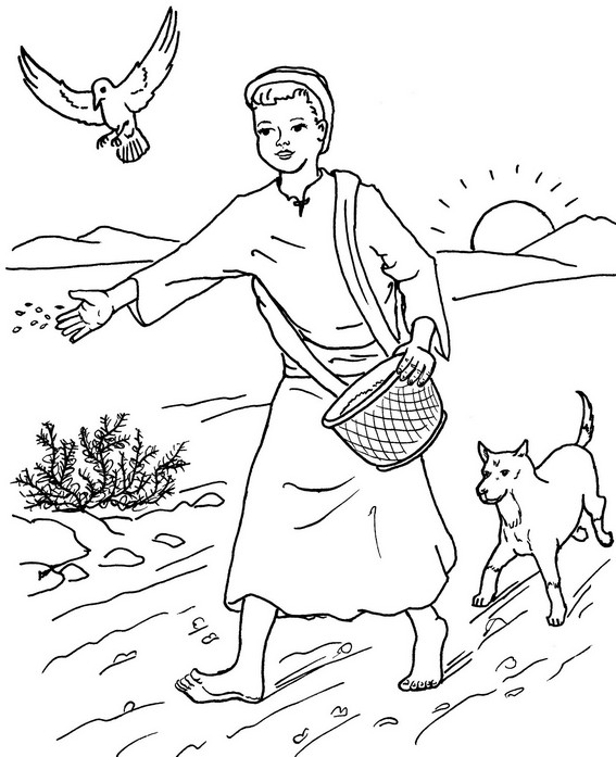 best parable of the sower coloring page