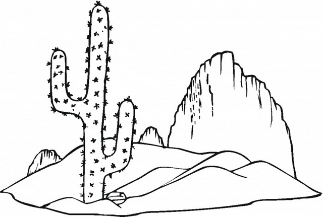 cactus growing in desert coloring pages