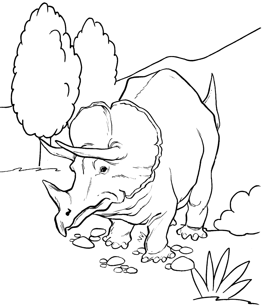 Fun Triceratops Coloring Page Types of Dino