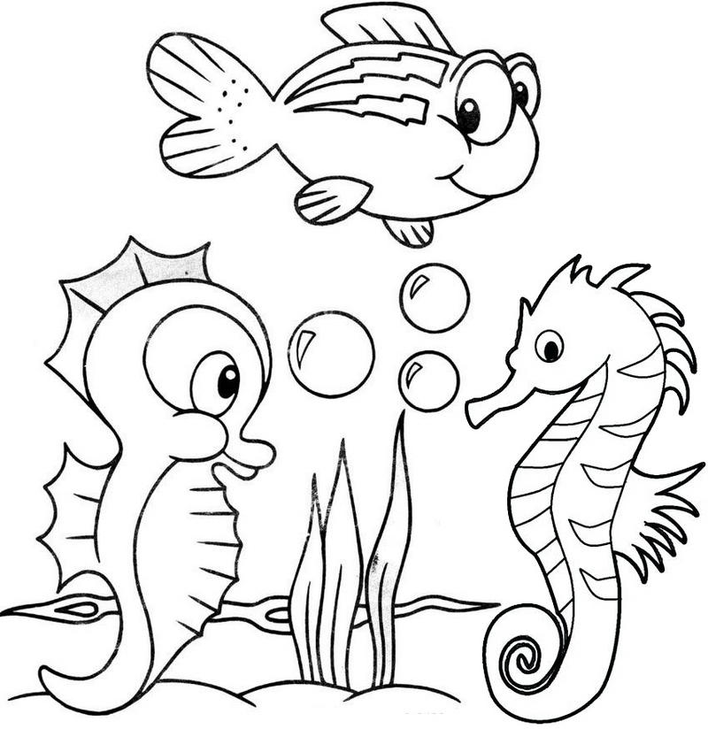 cute baby seahorse coloring page